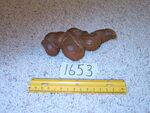 1653: Animal Dung, Coprolite Fossil by Montana Fossils and ZUHL