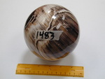1483: Petrified Wood Sphere by ZUHL